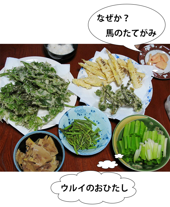 vol.053 阿賀町鹿瀬、山菜まつりに行くの写真10
