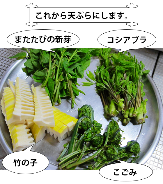 vol.053 阿賀町鹿瀬、山菜まつりに行くの写真9