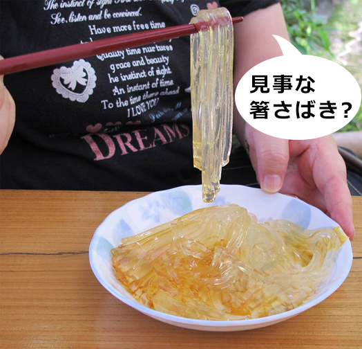 vol.055 「日本一うまいトコロテン」なるものを食べに行くの写真4