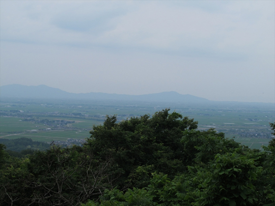 vol.074 田上町・護摩堂山のあじさいまつり始まるの写真3